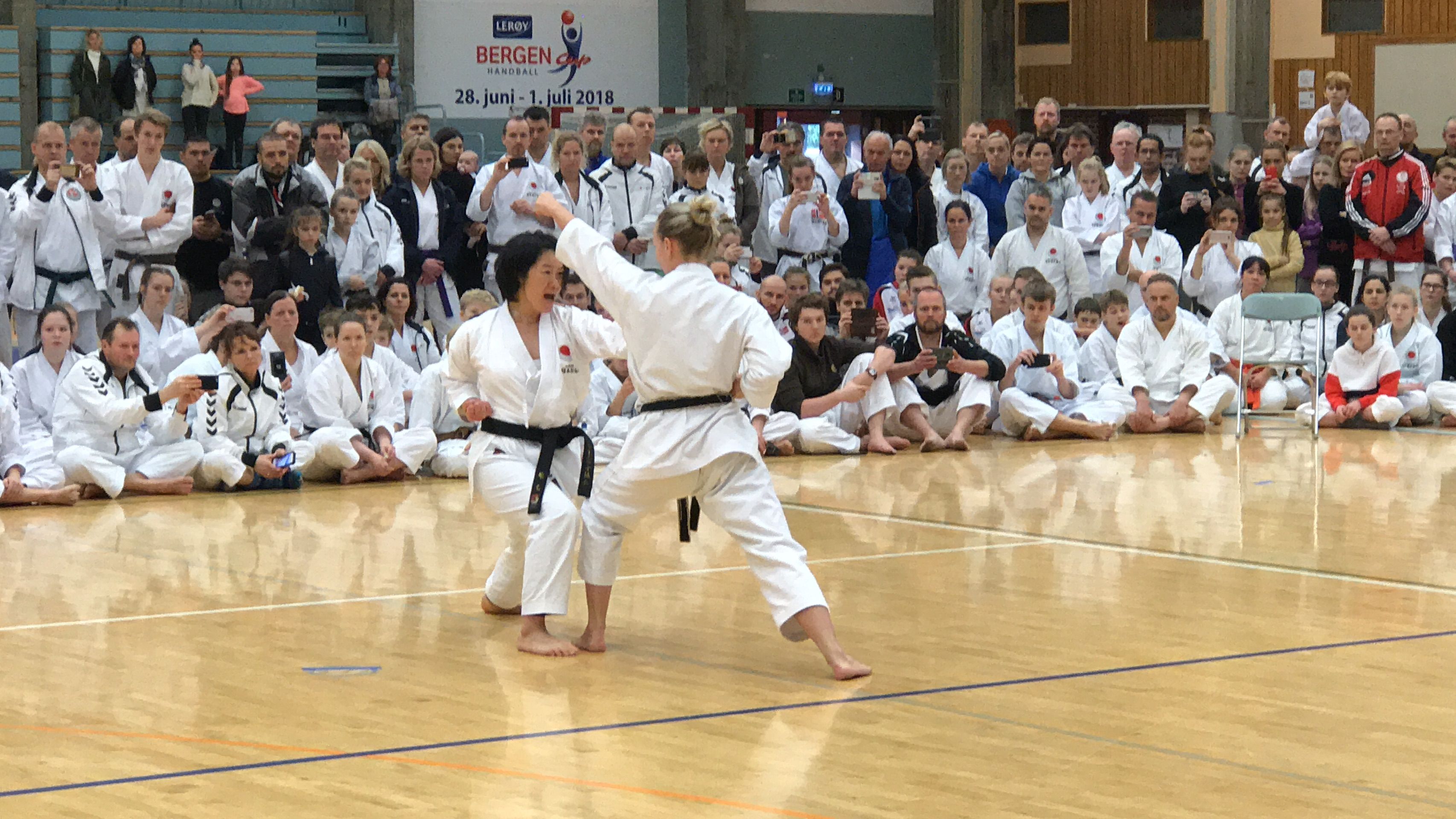 Karate Shotokan: kata, kumite, técnicas, cinturones y más