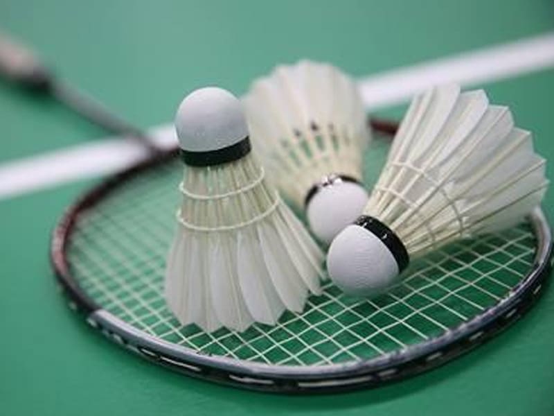 ver historia del badminton