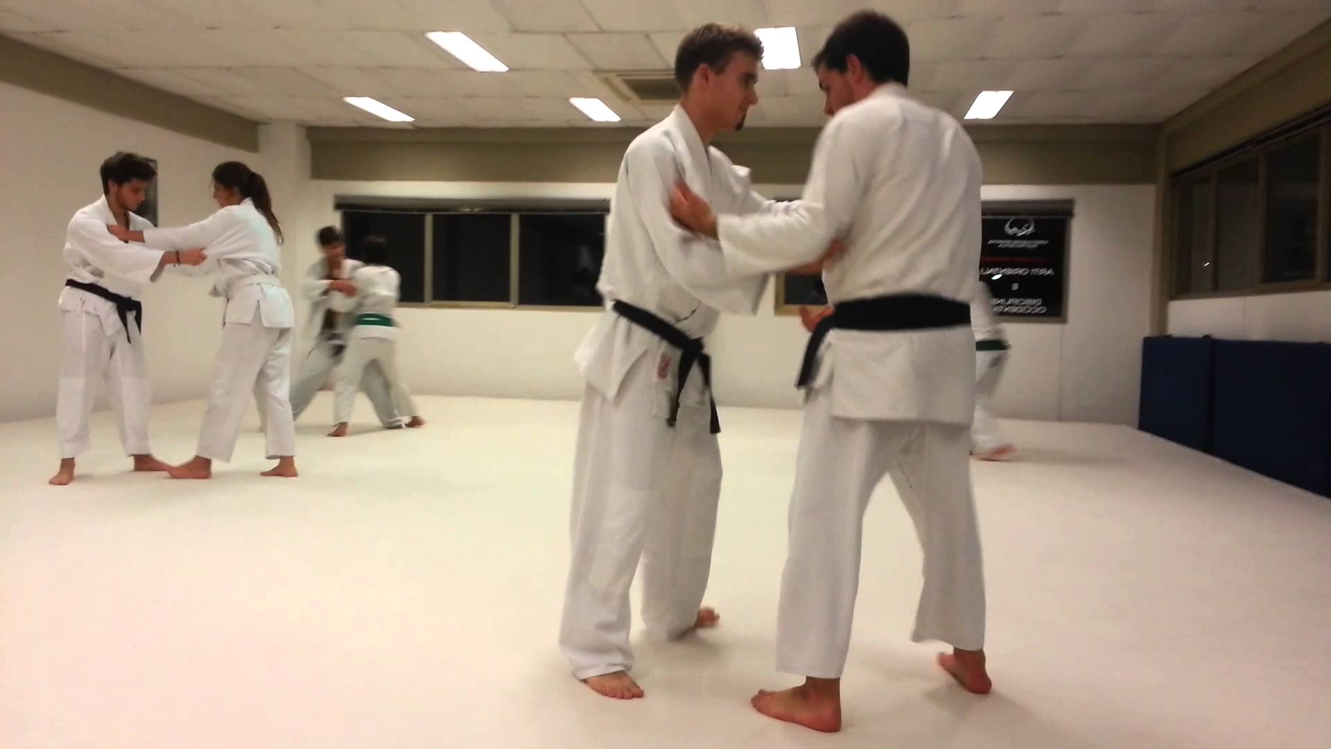 Randori judo