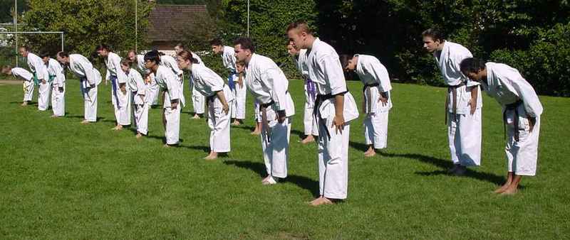 ver taekwondo