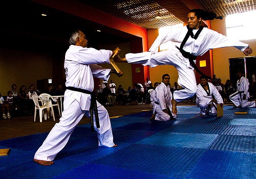 ver taekwondo