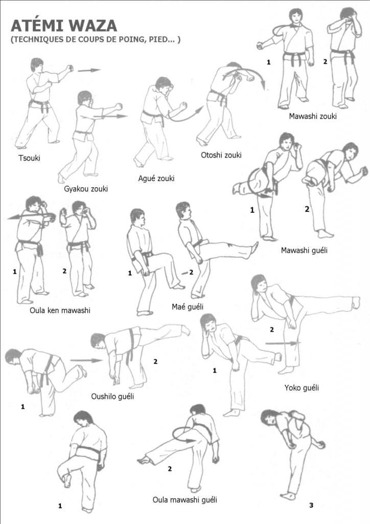 Técnicas-de-Jiu-Jitsu-7