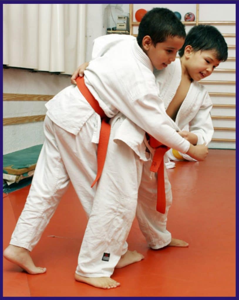 tecnicas de judo