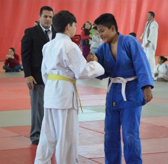 Beneficios del judo: infantil, y todo lo que desconoce
