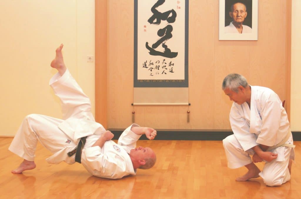 Karate-wado-ryu-2