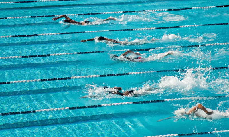 natación competitiva y mas