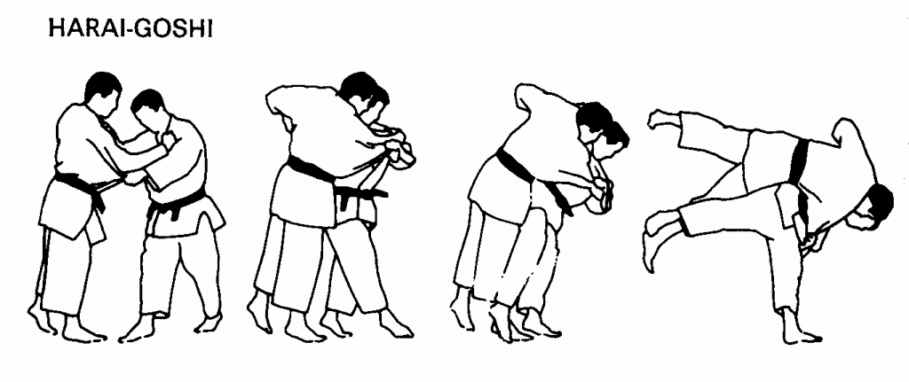Técnicas de judo: 