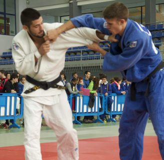 Técnicas de judo: por cinturón, de pie, de suelo, y más